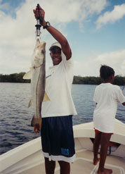 Snook fishing in Tampa Bay